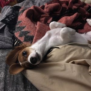 Meet your Posher, Hannah